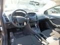 Magnetic - Focus SE Hatch Photo No. 13