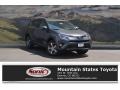 Magnetic Gray Metallic - RAV4 XLE Photo No. 1