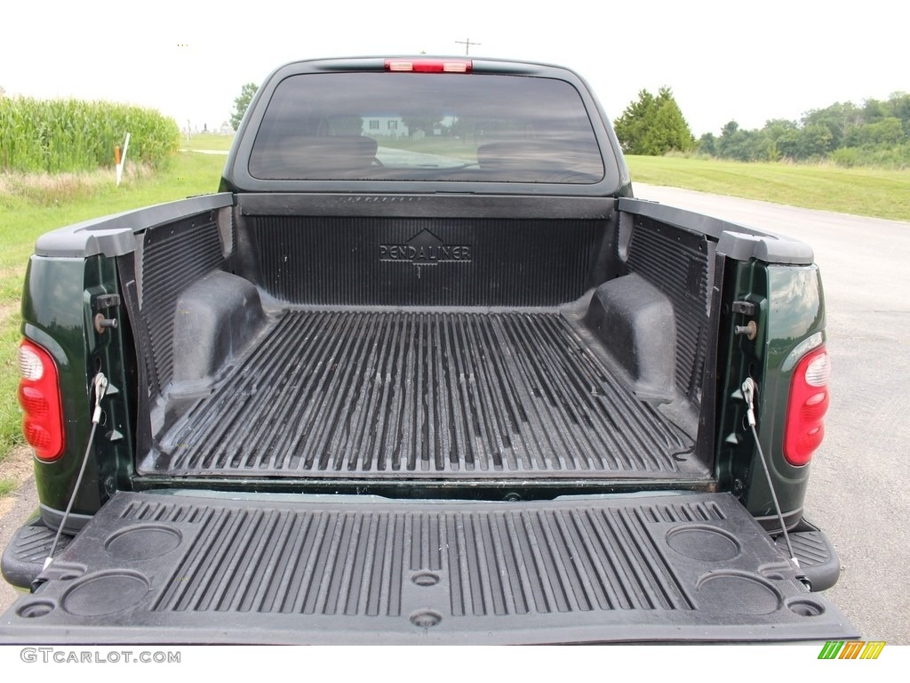 2003 F150 Lariat SuperCrew 4x4 - Dark Highland Green Metallic / Medium Parchment Beige photo #7