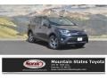 Magnetic Gray Metallic - RAV4 XLE Photo No. 1