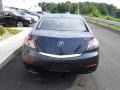 Graphite Luster Metallic - TL  Photo No. 8