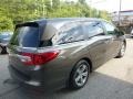 2018 Pacific Pewter Metallic Honda Odyssey EX-L  photo #4