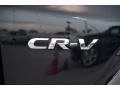2017 Crystal Black Pearl Honda CR-V LX  photo #3