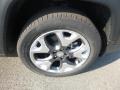 Granite Crystal Metallic - Compass Limited 4x4 Photo No. 9