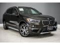 2017 Sparkling Brown Metallic BMW X1 xDrive28i  photo #12