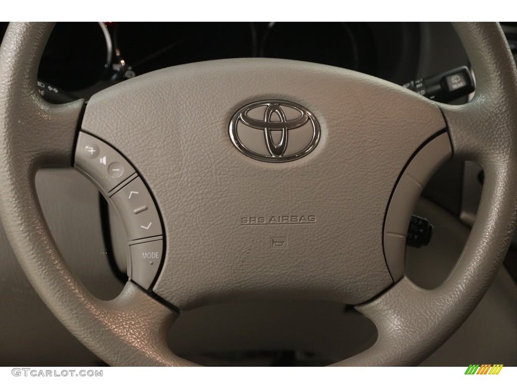 2010 Sienna LE - Slate Metallic / Stone photo #6