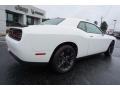 White Knuckle - Challenger SXT Photo No. 7