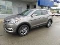 Gray - Santa Fe Sport AWD Photo No. 5