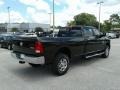 Luxury Brown Pearl - 2500 Big Horn Crew Cab 4x4 Photo No. 5