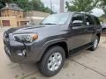 2017 Magnetic Gray Metallic Toyota 4Runner SR5 4x4  photo #4