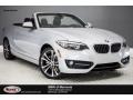 2017 Glacier Silver Metallic BMW 2 Series 230i Convertible #122103587