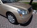 Mystic Gold Metallic - LS 430 Sedan Photo No. 19