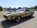 Medium Yellow Gold - Mustang Mach 1 Coupe Photo No. 6