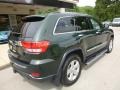 2011 Natural Green Pearl Jeep Grand Cherokee Overland 4x4  photo #2