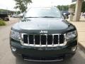 2011 Natural Green Pearl Jeep Grand Cherokee Overland 4x4  photo #4