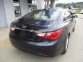 Pacific Blue Pearl - Sonata GLS Photo No. 3