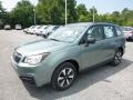 2018 Jasmine Green Metallic Subaru Forester 2.5i  photo #8