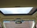 2014 Deep Sea Mica Lexus RX 450h AWD  photo #25