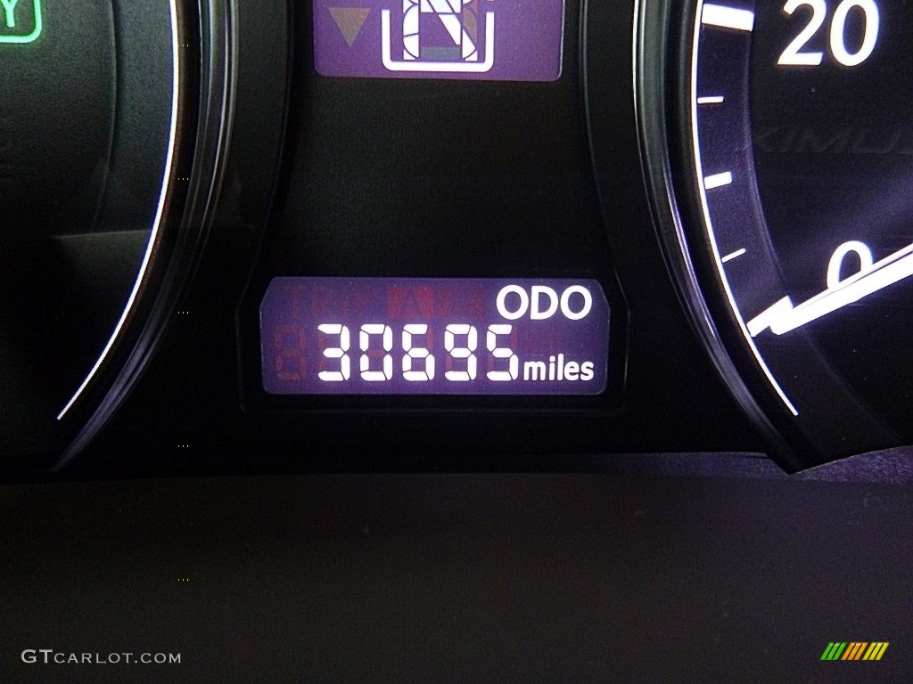 2014 RX 450h AWD - Deep Sea Mica / Parchment photo #29