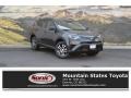 Magnetic Gray Metallic - RAV4 LE Photo No. 1