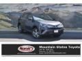 2017 Magnetic Gray Metallic Toyota RAV4 LE  photo #1