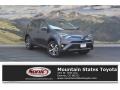 Magnetic Gray Metallic - RAV4 XLE Photo No. 1