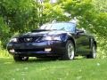 2003 True Blue Metallic Ford Mustang GT Convertible  photo #1