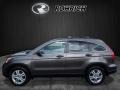 2010 Alabaster Silver Metallic Honda CR-V EX AWD  photo #4