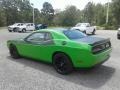 Green Go - Challenger T/A 392 Photo No. 3
