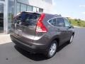 2014 Urban Titanium Metallic Honda CR-V EX AWD  photo #10