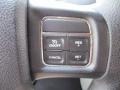 Stone White - Grand Caravan SE Photo No. 17