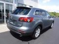 Liquid Silver Metallic - CX-9 Touring AWD Photo No. 9