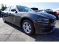 Granite Pearl - Charger SXT Photo No. 4