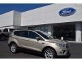 2017 White Gold Ford Escape SE  photo #1