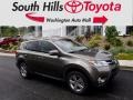 Pyrite Mica - RAV4 XLE AWD Photo No. 1