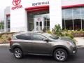 Pyrite Mica - RAV4 XLE AWD Photo No. 2