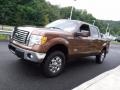 Golden Bronze Metallic - F150 XLT SuperCrew 4x4 Photo No. 8