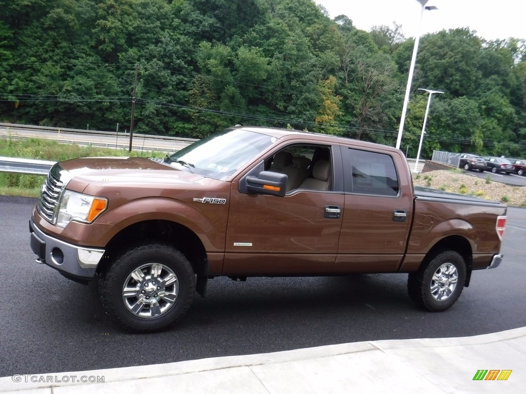 2012 F150 XLT SuperCrew 4x4 - Golden Bronze Metallic / Pale Adobe photo #9