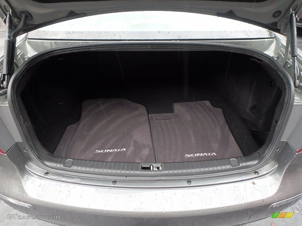 2009 Sonata Limited - Natural Khaki Green / Camel photo #18
