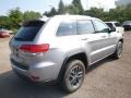 Billet Silver Metallic - Grand Cherokee Limited 4x4 Photo No. 5