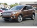 2017 Canyon Ridge Ford Escape SE 4WD  photo #1