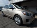 2017 Beechwood Pearl Kia Sedona LX  photo #8