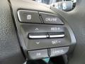 Controls of 2018 Elantra GT 