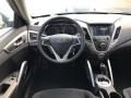 Triathlon Gray - Veloster  Photo No. 3