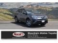 Magnetic Gray Metallic - RAV4 LE Photo No. 1