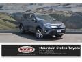 Magnetic Gray Metallic - RAV4 XLE Photo No. 1
