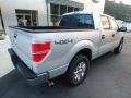 2014 Ingot Silver Ford F150 XLT SuperCrew 4x4  photo #2