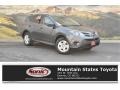 Magnetic Gray Metallic - RAV4 LE Photo No. 1