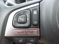 Dark Gray Metallic - Forester 2.5i Photo No. 20