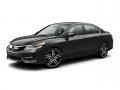 2017 Modern Steel Metallic Honda Accord Sport Sedan  photo #17